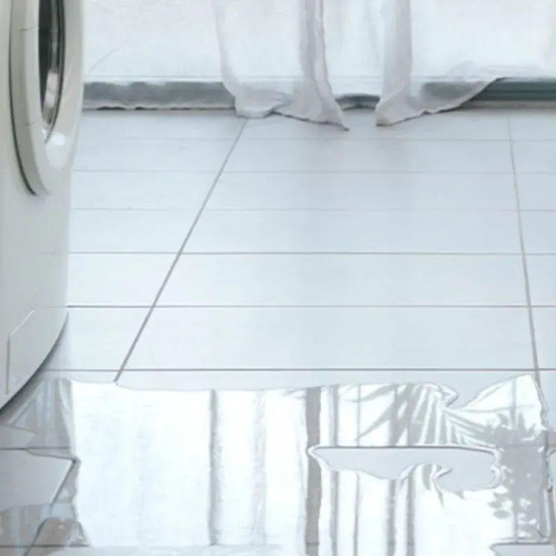 Appliance Leak Cleanup in Central Park, WA