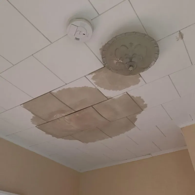 Ceiling Water Damage Repair in Central Park, WA