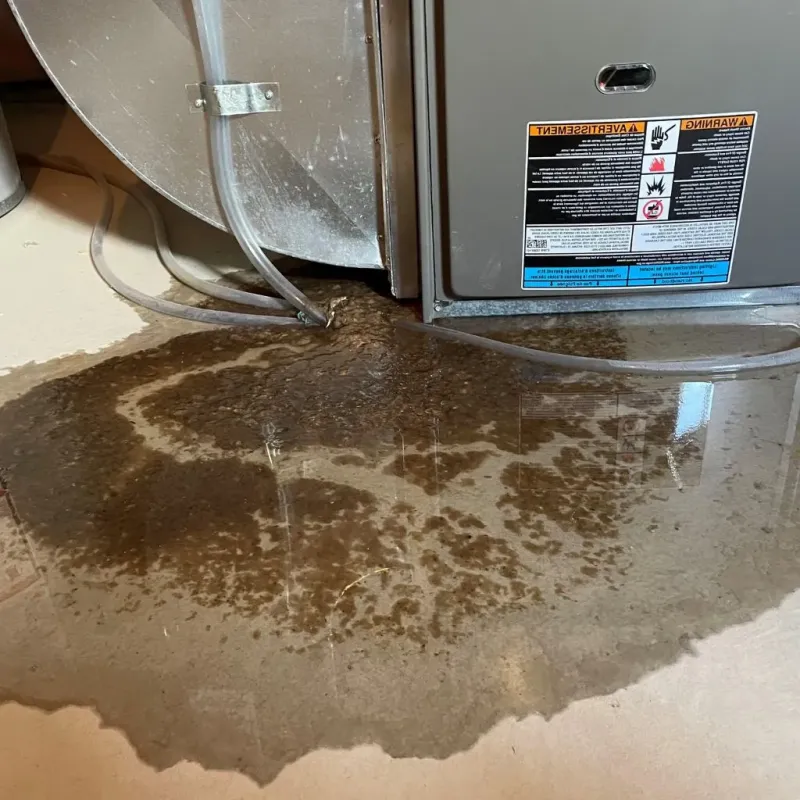 Pipe Burst and Leak Restoration in Central Park, WA