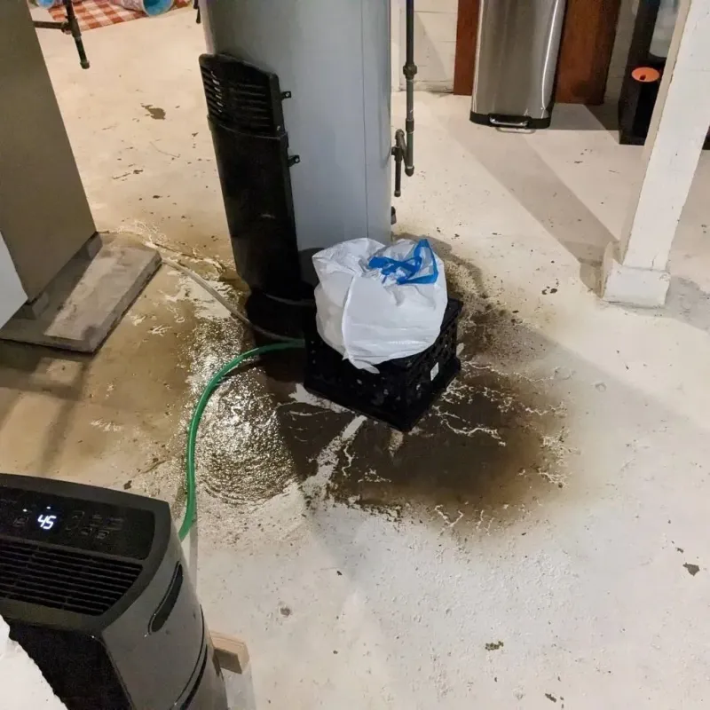Sewage Backup Cleanup Service in Central Park, WA